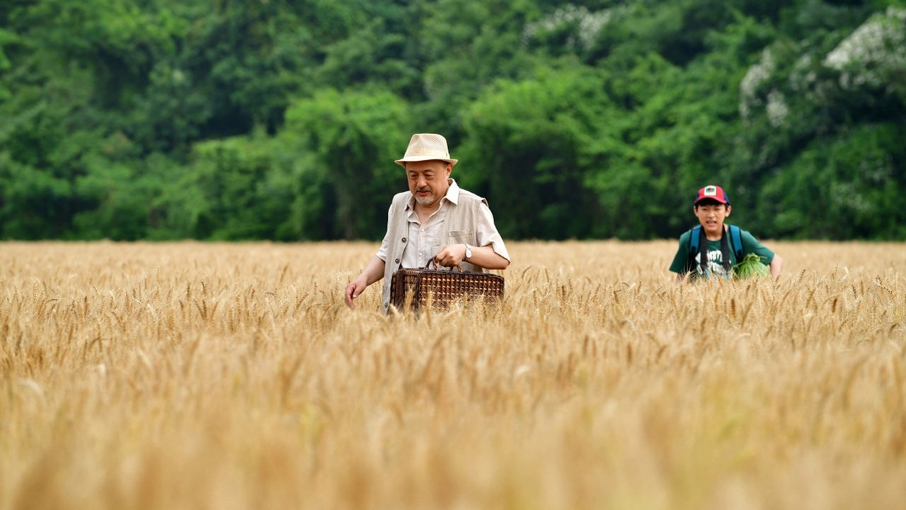 A Summer Trip backdrop