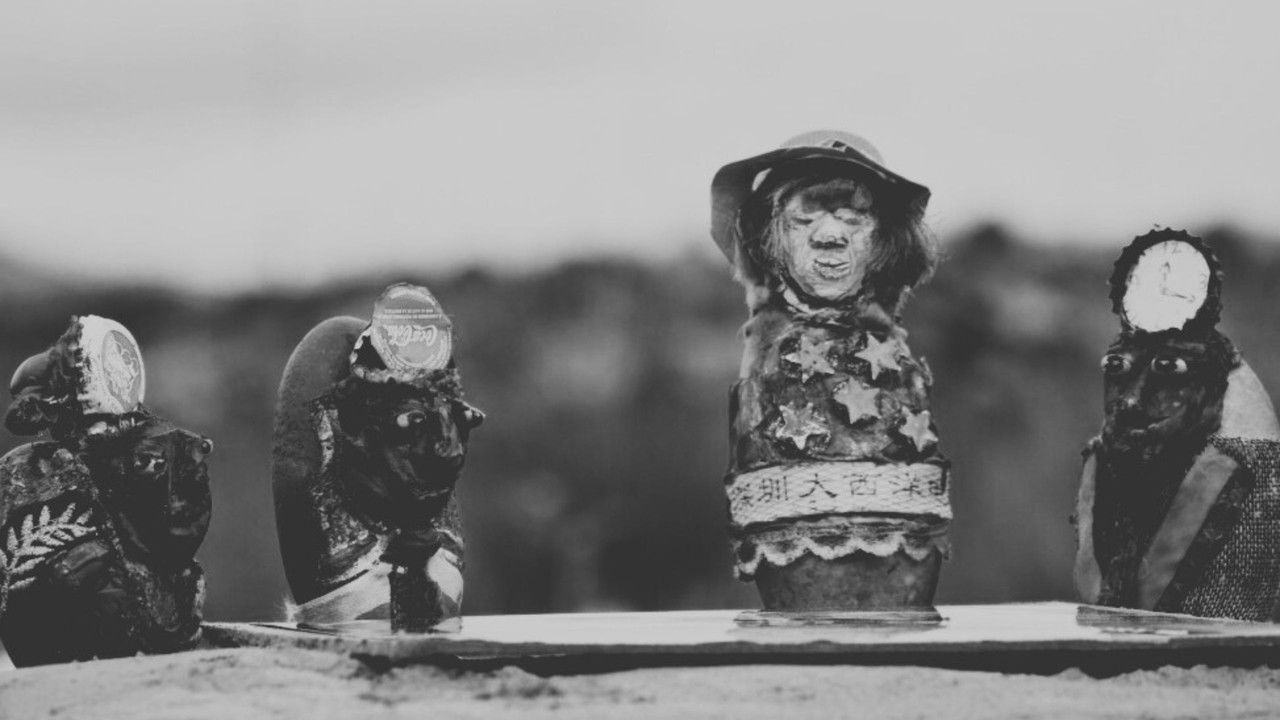 Where Zebus Speak French backdrop