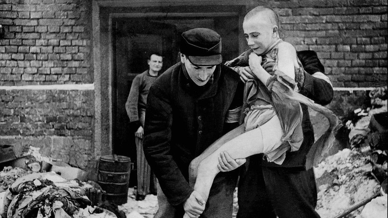 Auschwitz, les unités de la mort backdrop