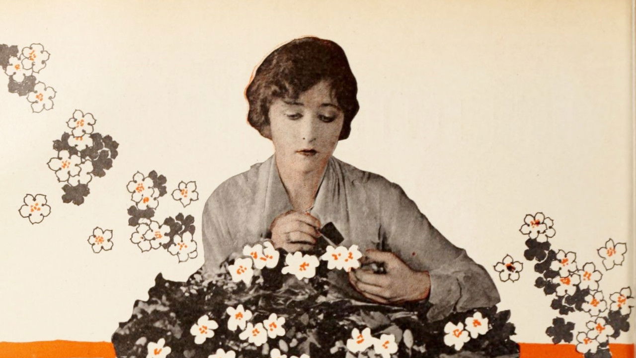 Borrowed Clothes backdrop