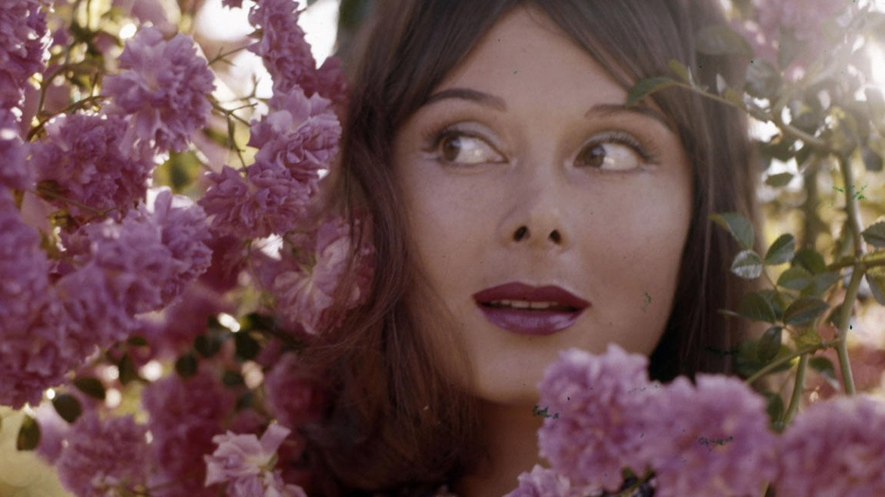 Chiamatemi Divina - Dorian Gray, storia di un'attrice dimenticata backdrop