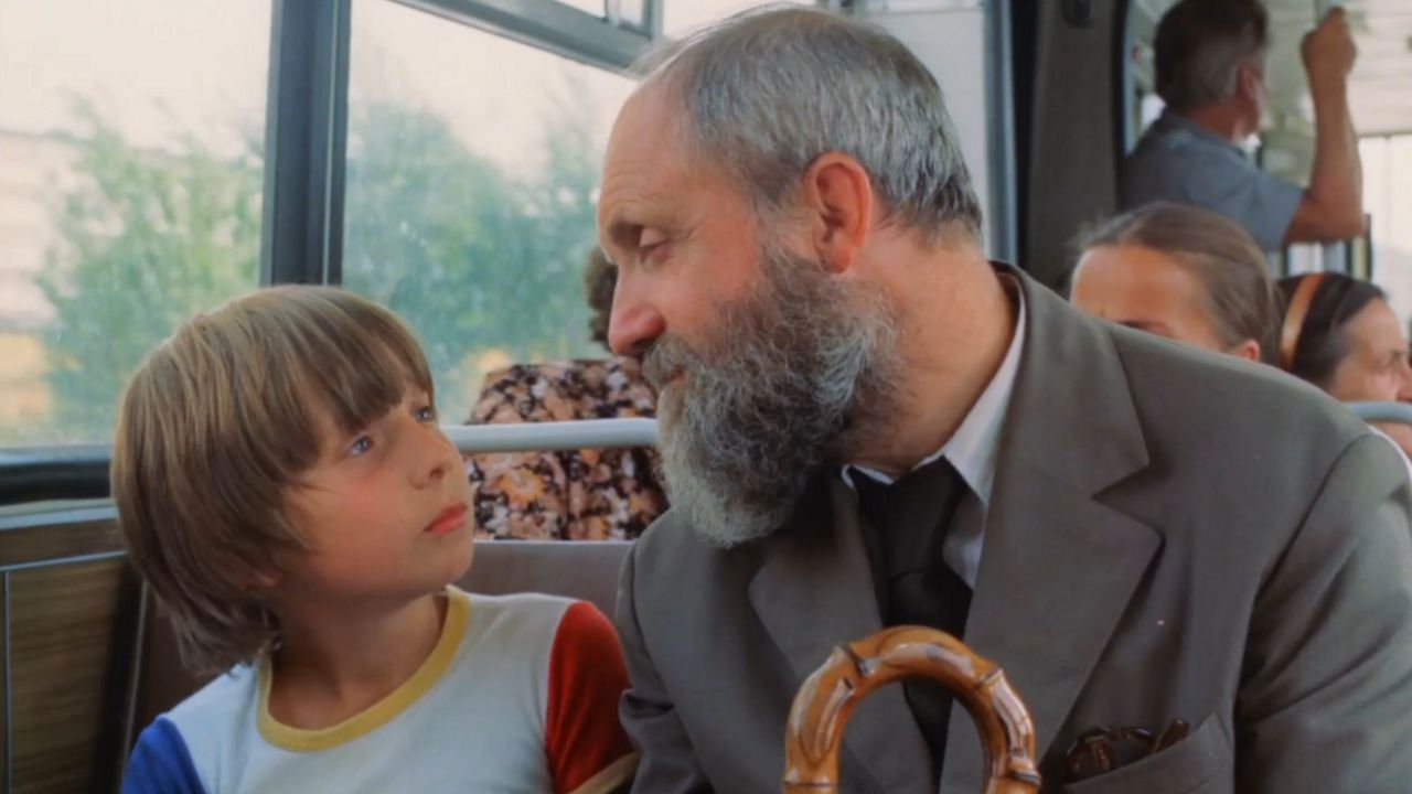 Day of the Humming Bird backdrop