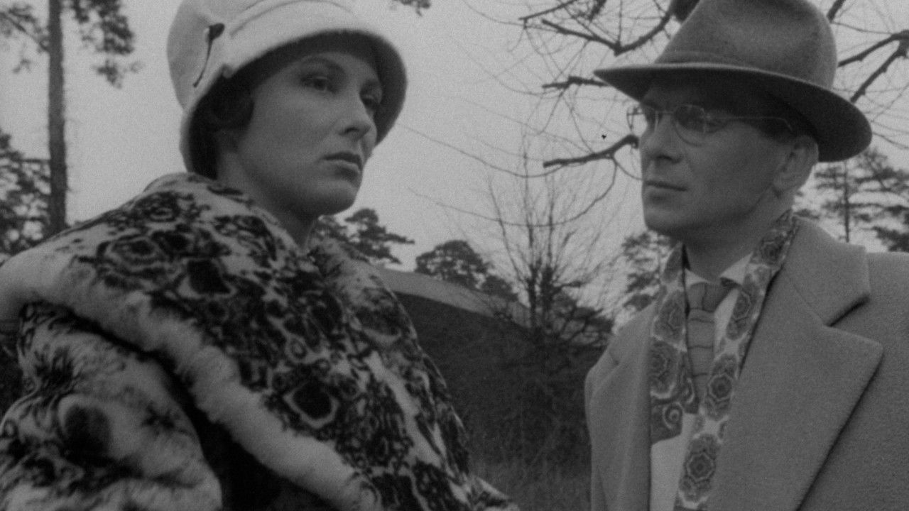 Kārkli pelēkie zied backdrop