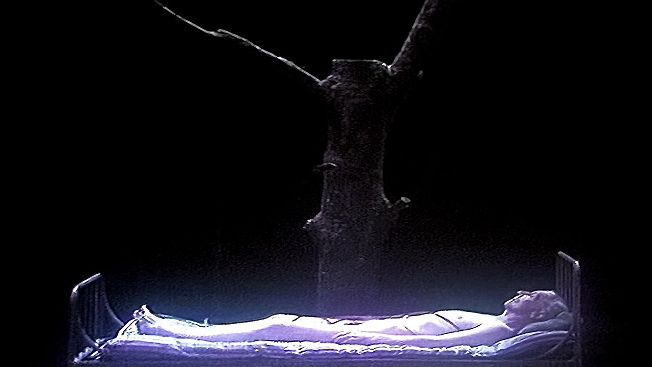 A Dream Play backdrop