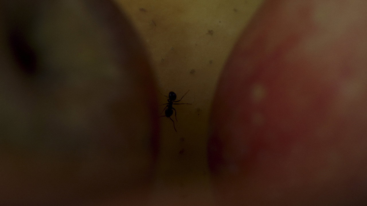 Estaba dormida backdrop