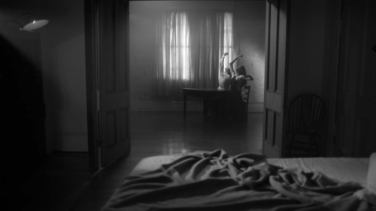 Shadow / Self backdrop