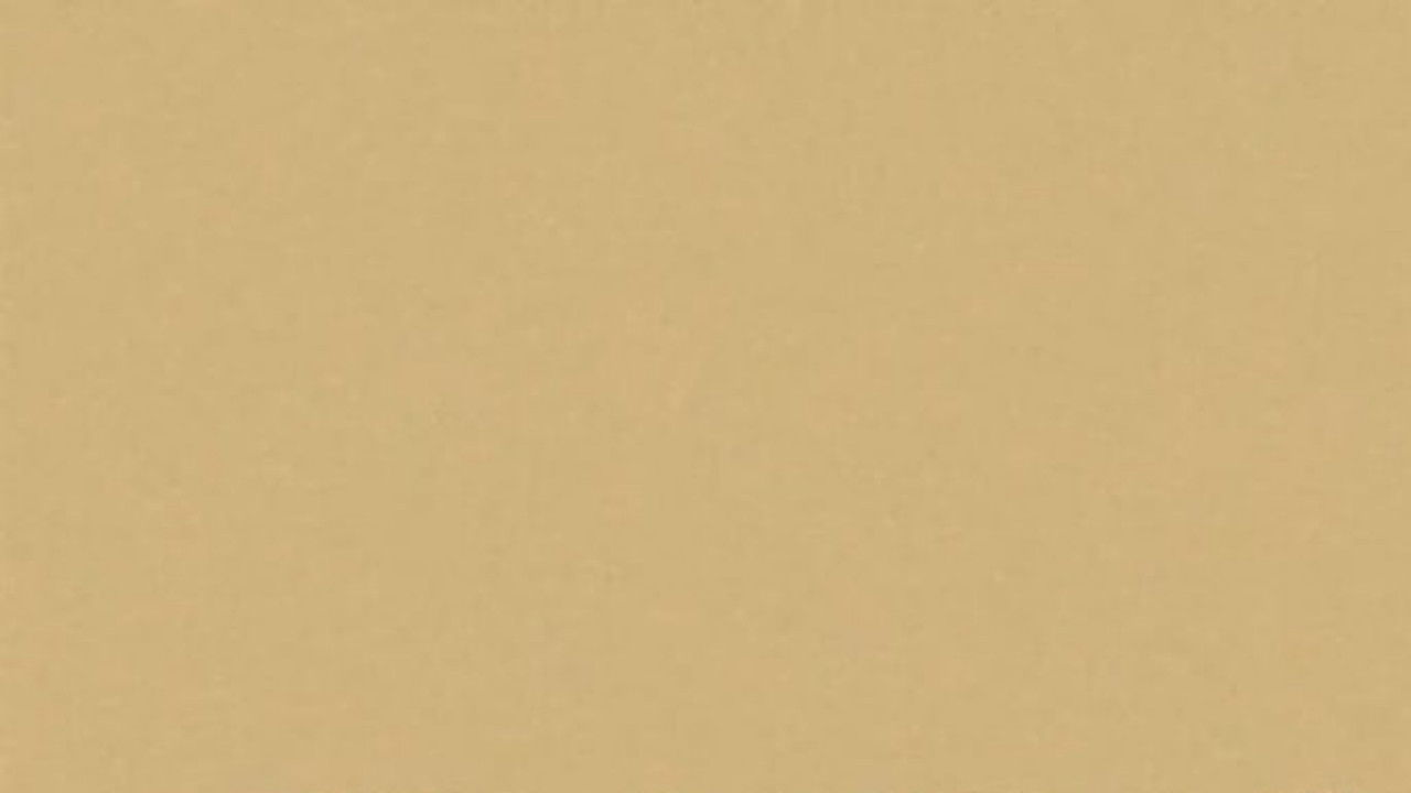 Bruno Dumont backdrop