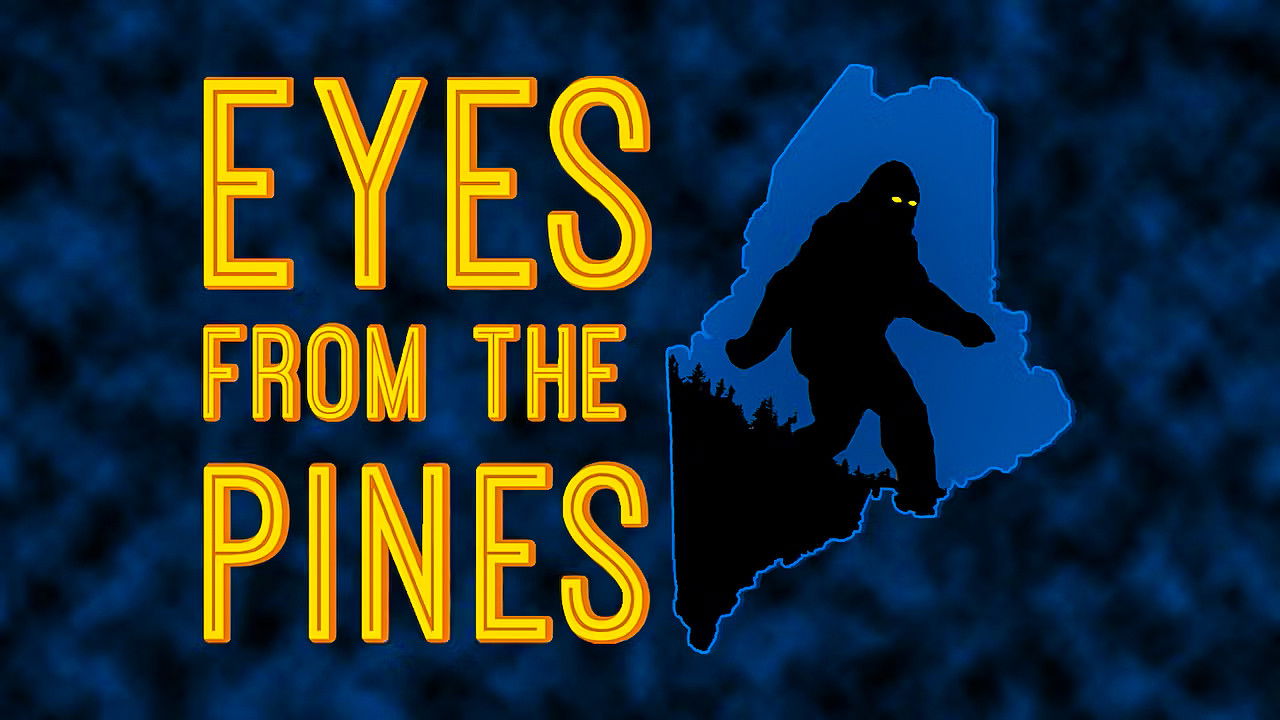 Eyes from the Pines backdrop