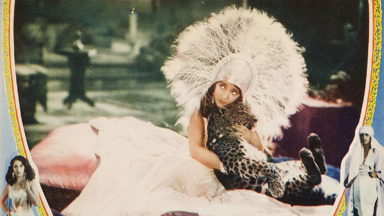 She's a Sheik backdrop