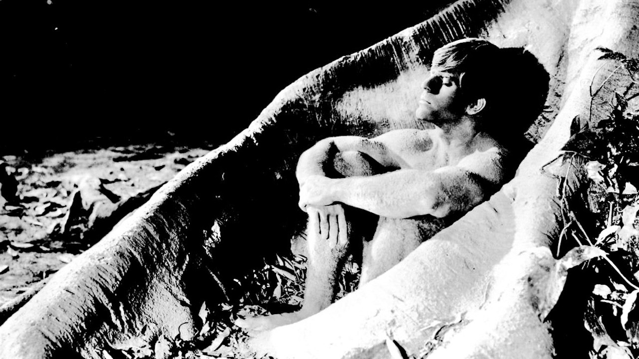 The Sin of Adam and Eve backdrop