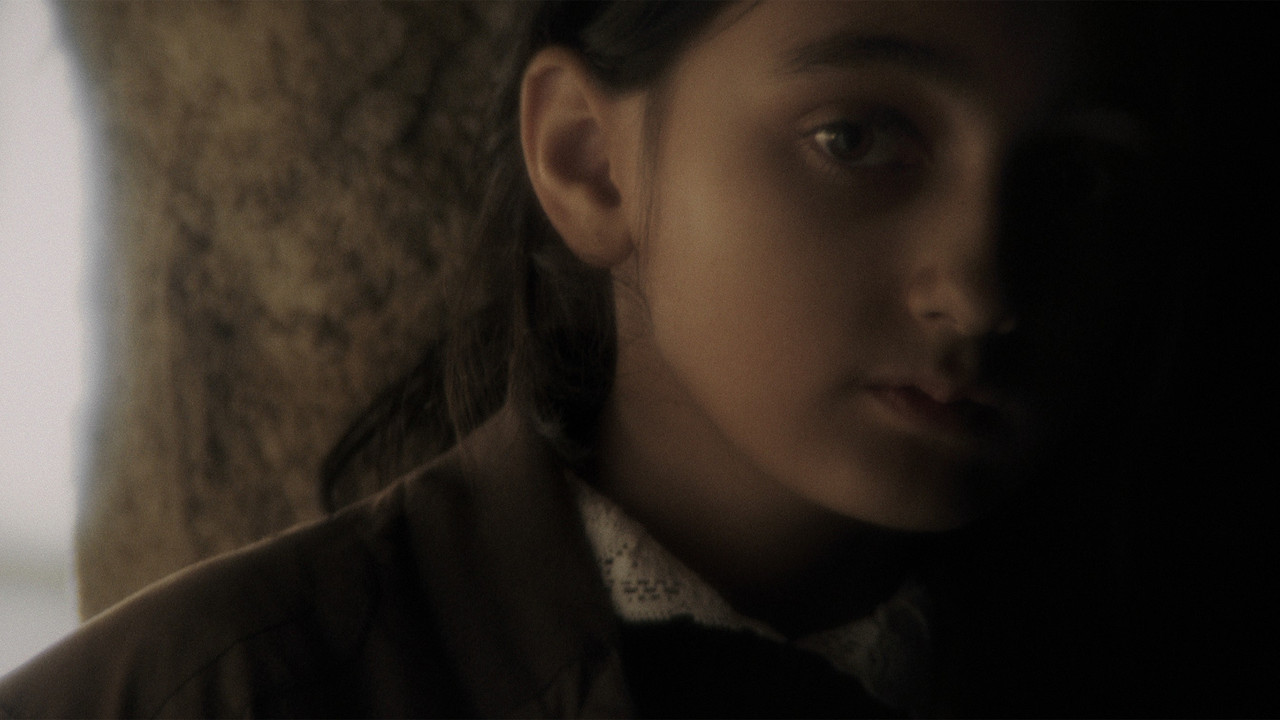 Primo Sangue backdrop