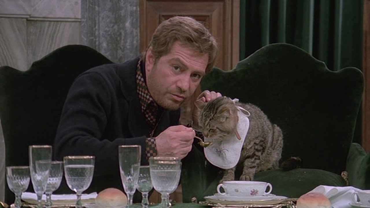 Eye of the Cat backdrop