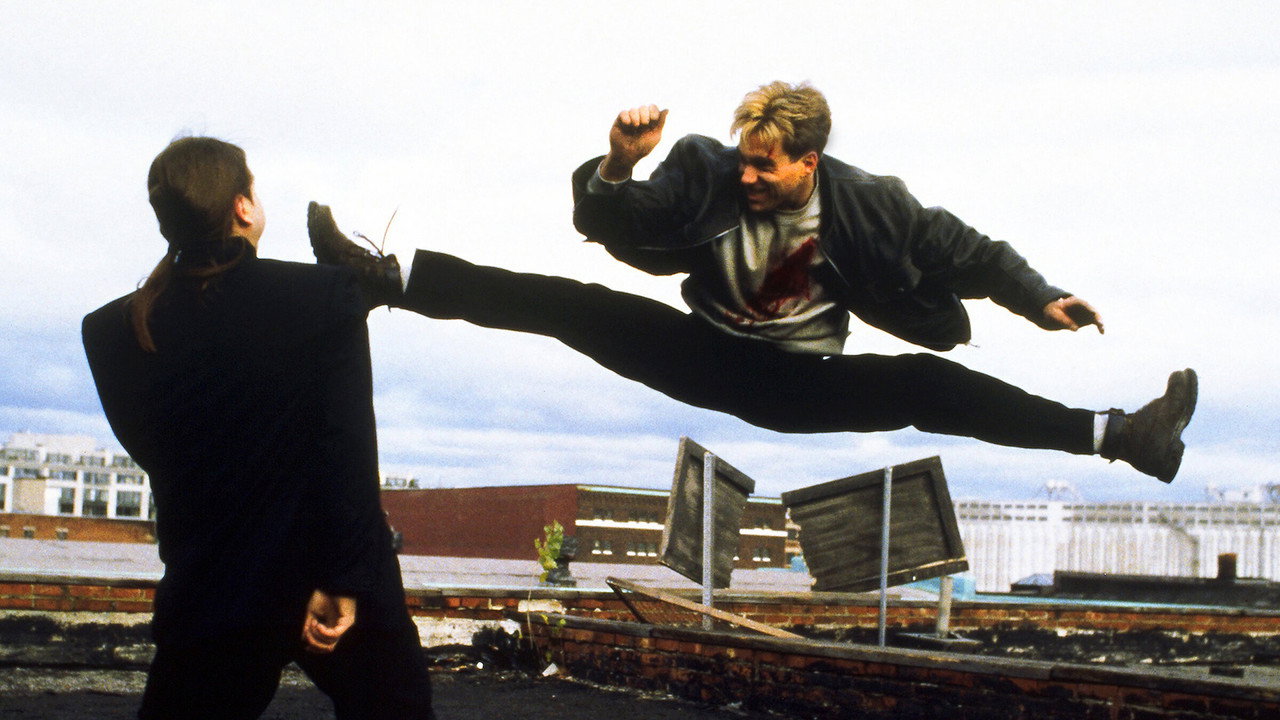 Hawk's Vengeance backdrop