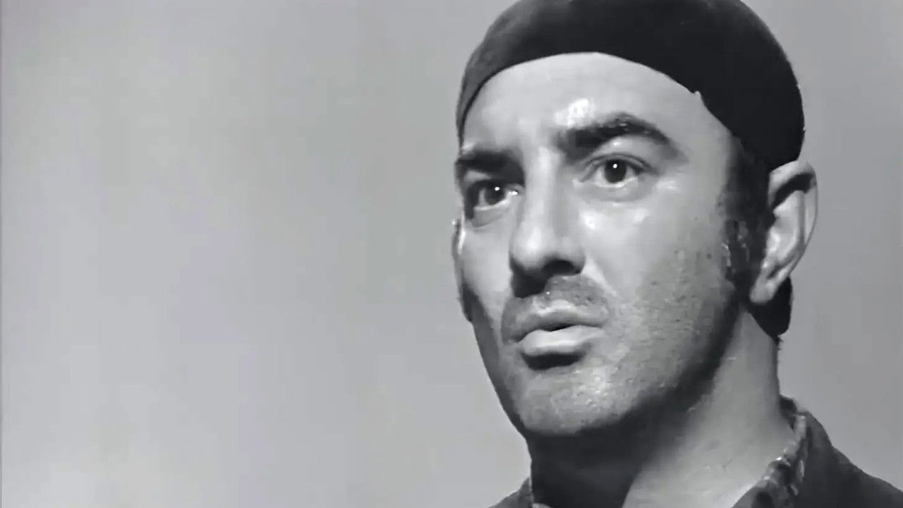 The Graduates backdrop