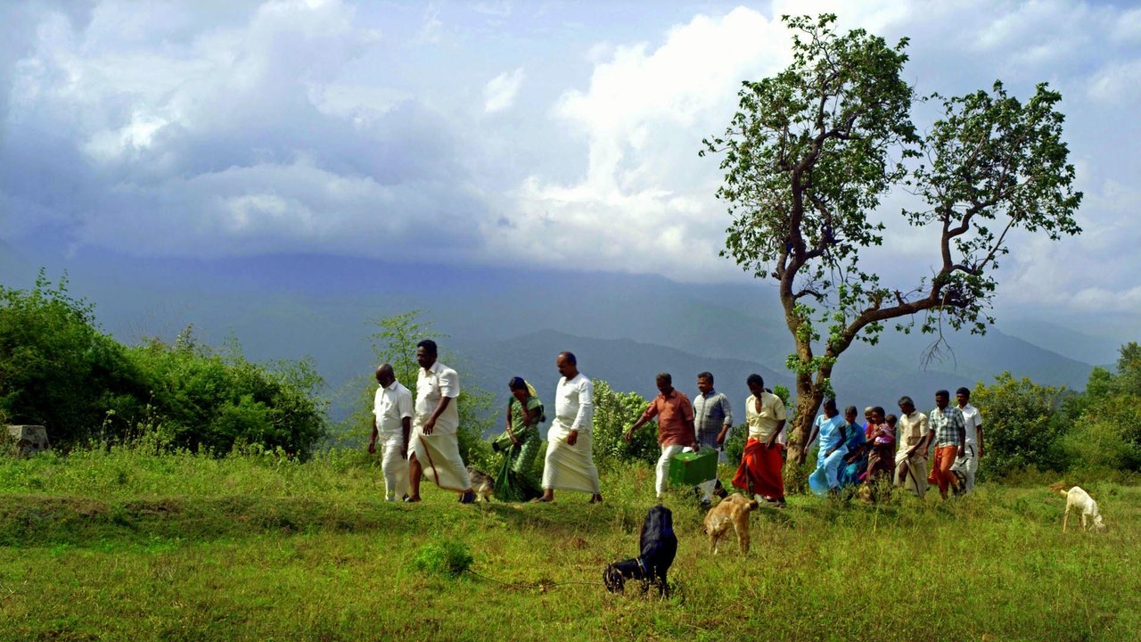 White Nights backdrop