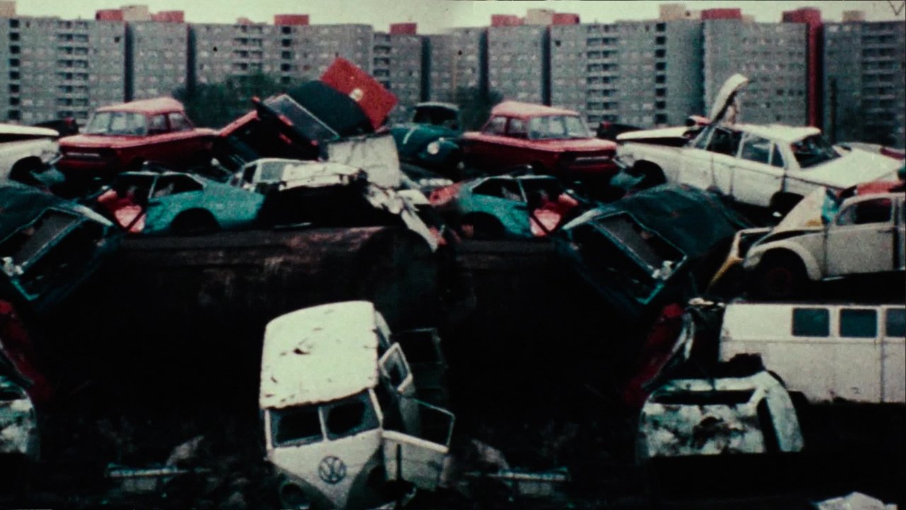 The Bought Dream backdrop