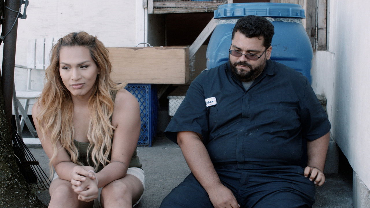 Bristol Fashion backdrop