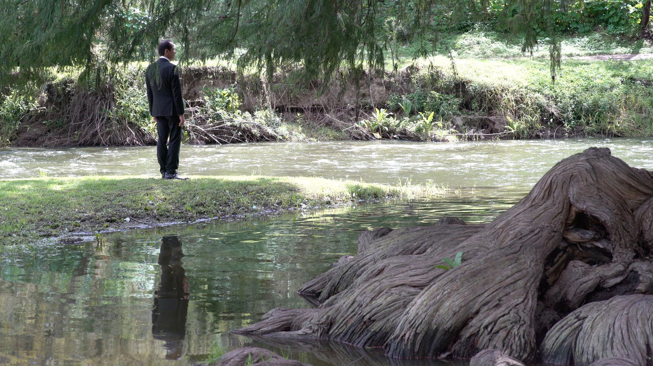 The office man backdrop