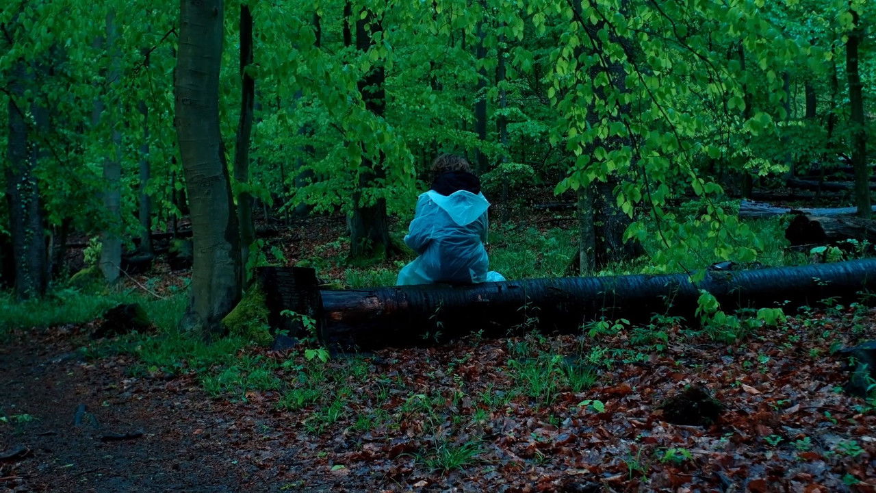 Pfaffendorf Forest backdrop