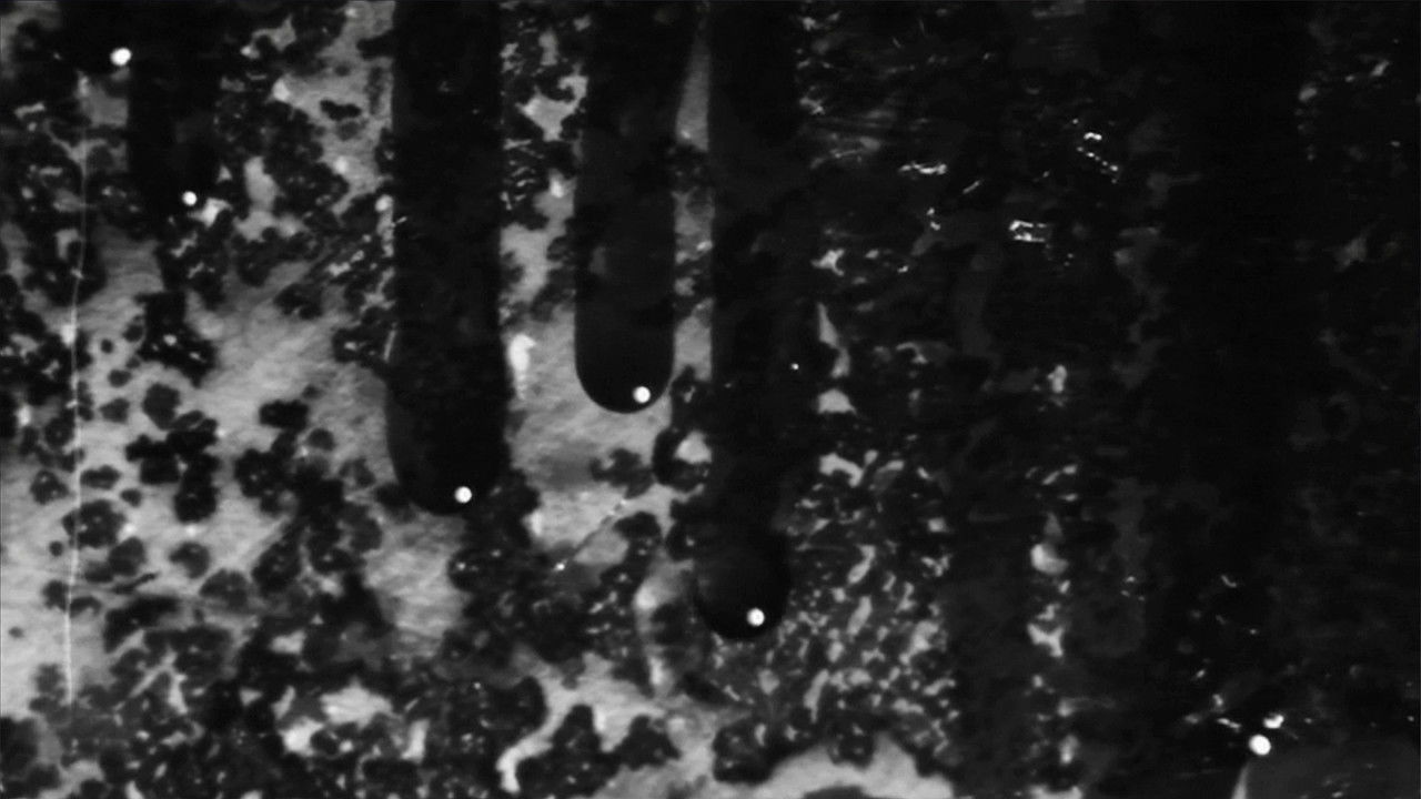 Place for Landing backdrop