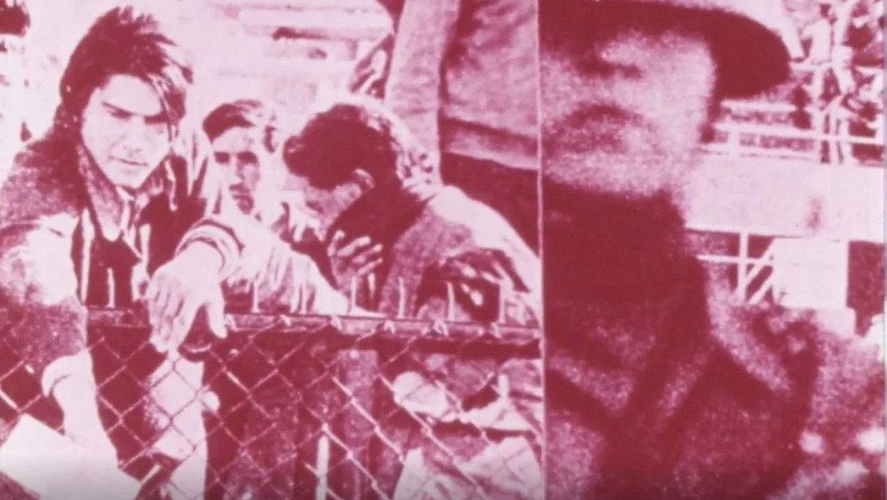 Made in USA backdrop