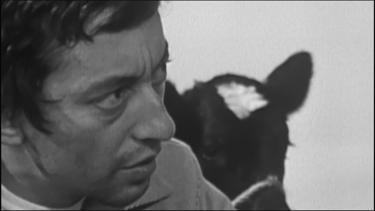 Christmas at Vaugirard backdrop