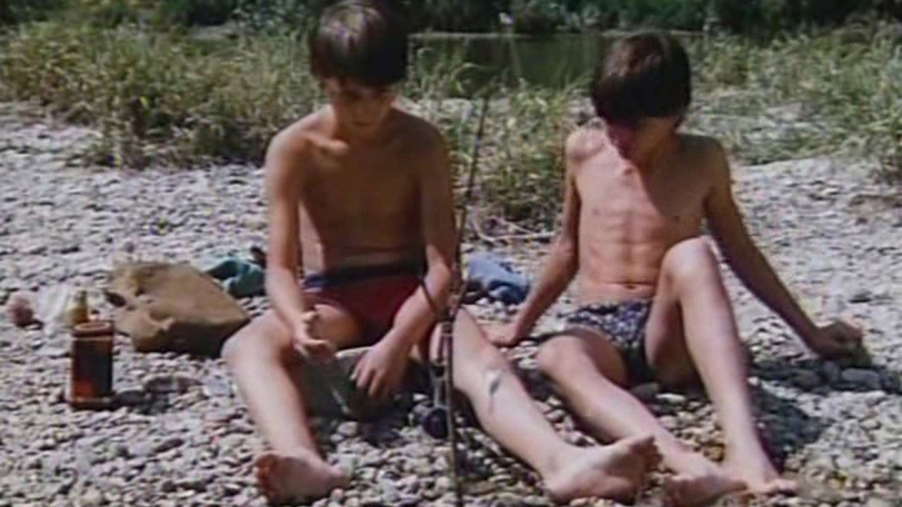 Jays in the Head backdrop