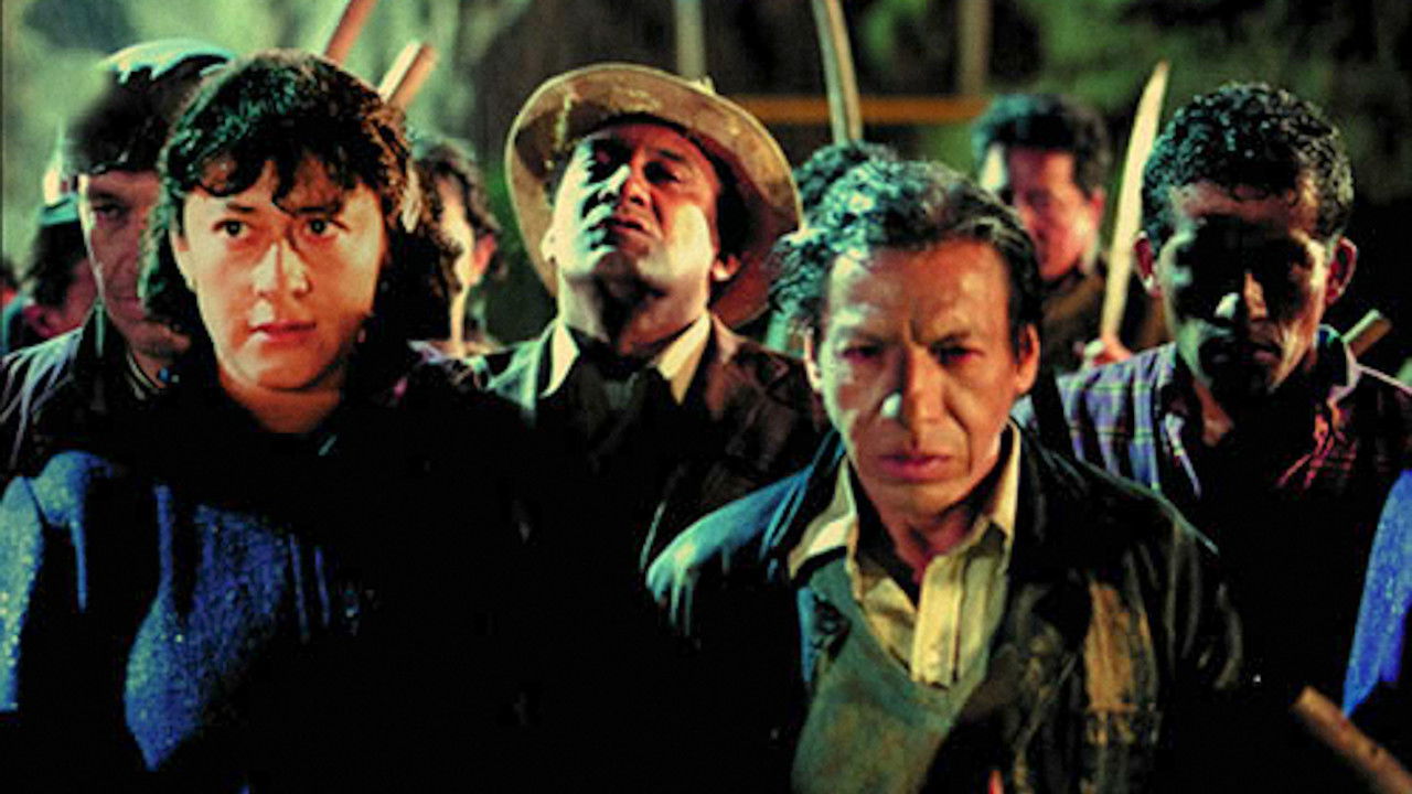 A Game of Cat and Mouse backdrop