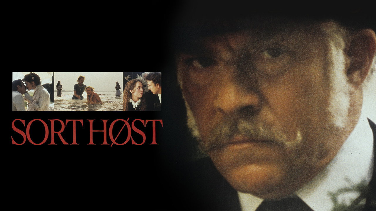 Black Harvest backdrop