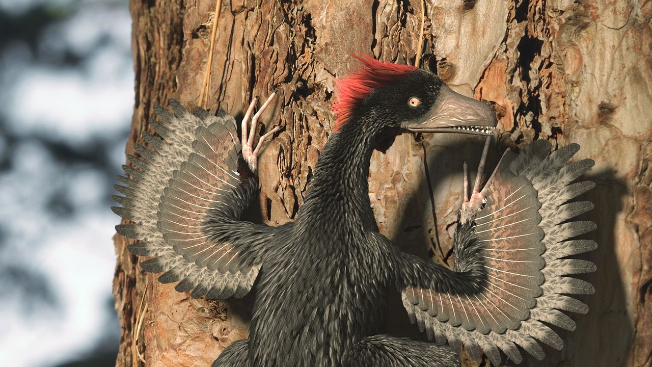 A New Prehistory backdrop