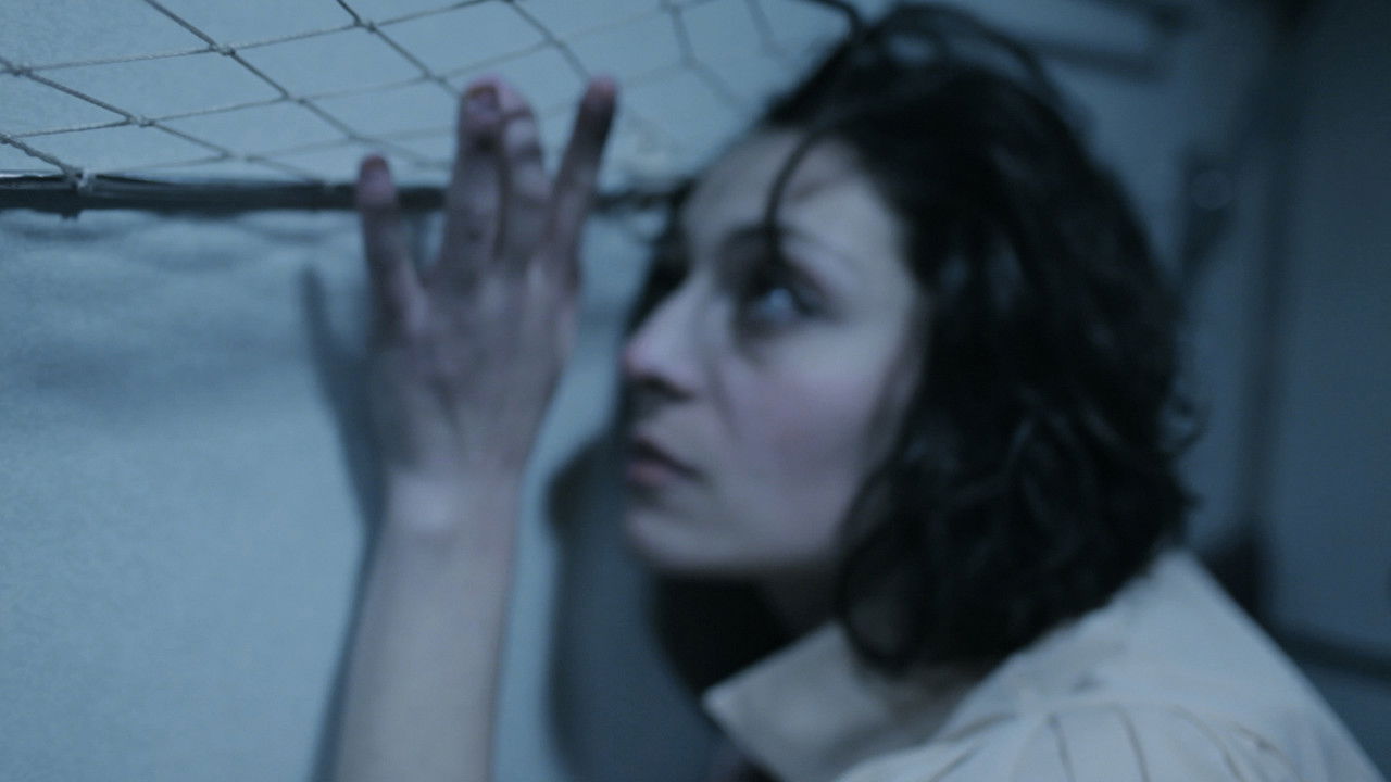 February 19th backdrop