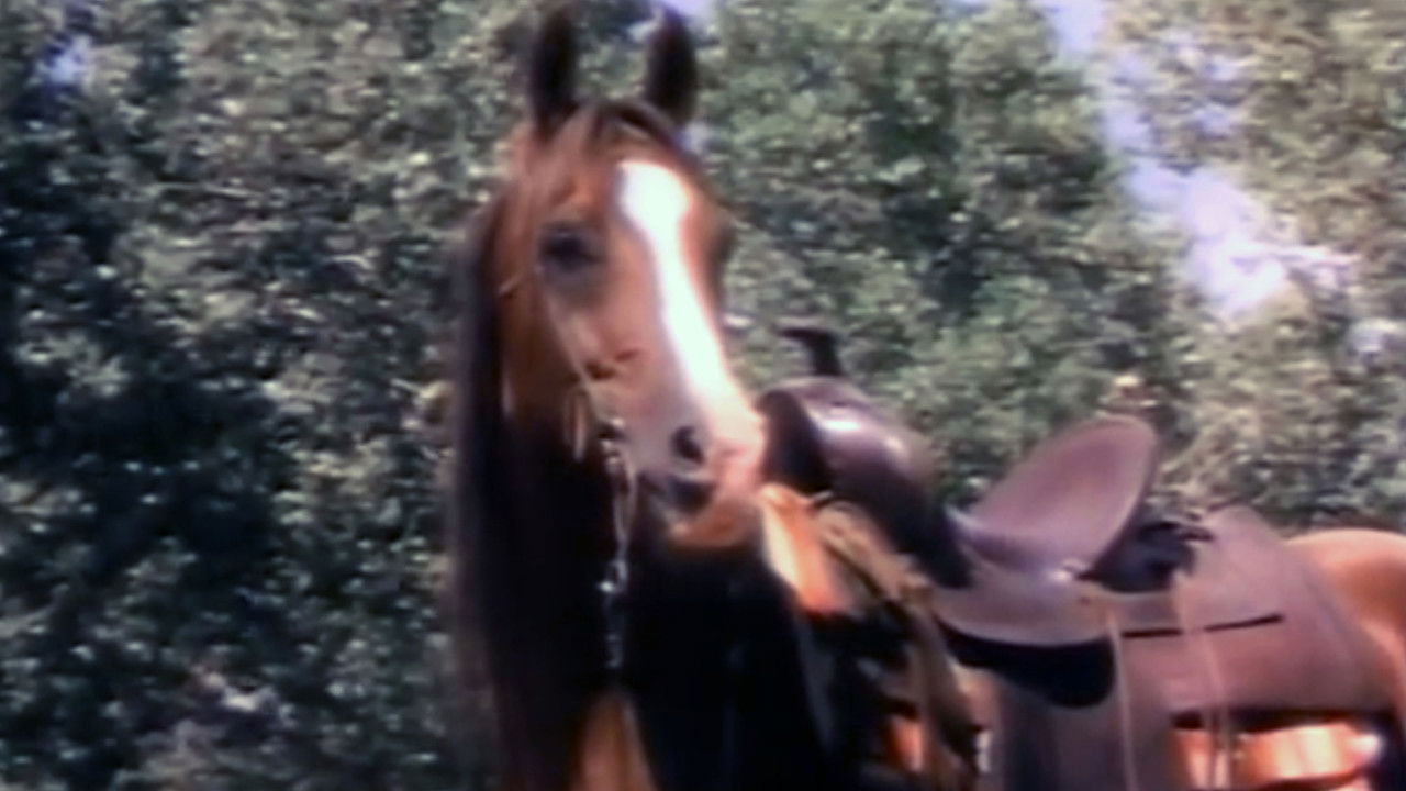 The Red Fury backdrop