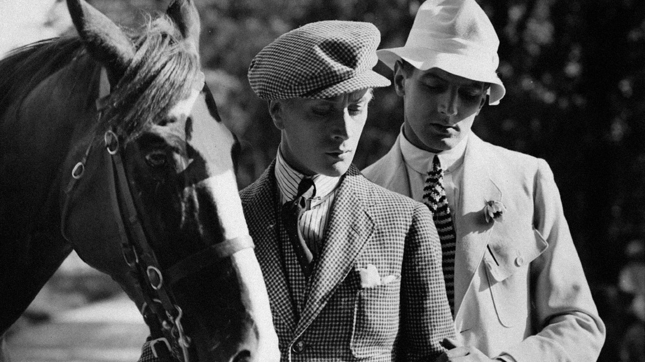 Puss in Boots backdrop