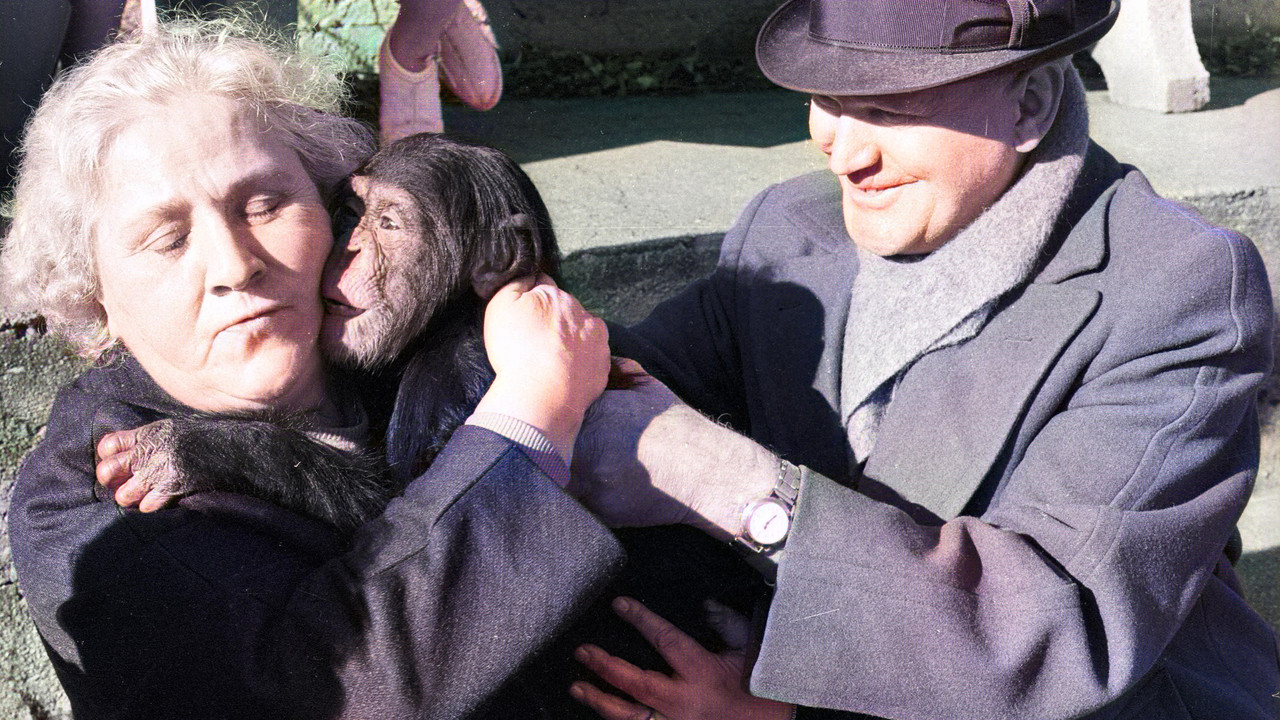 Land of Silence and Darkness backdrop