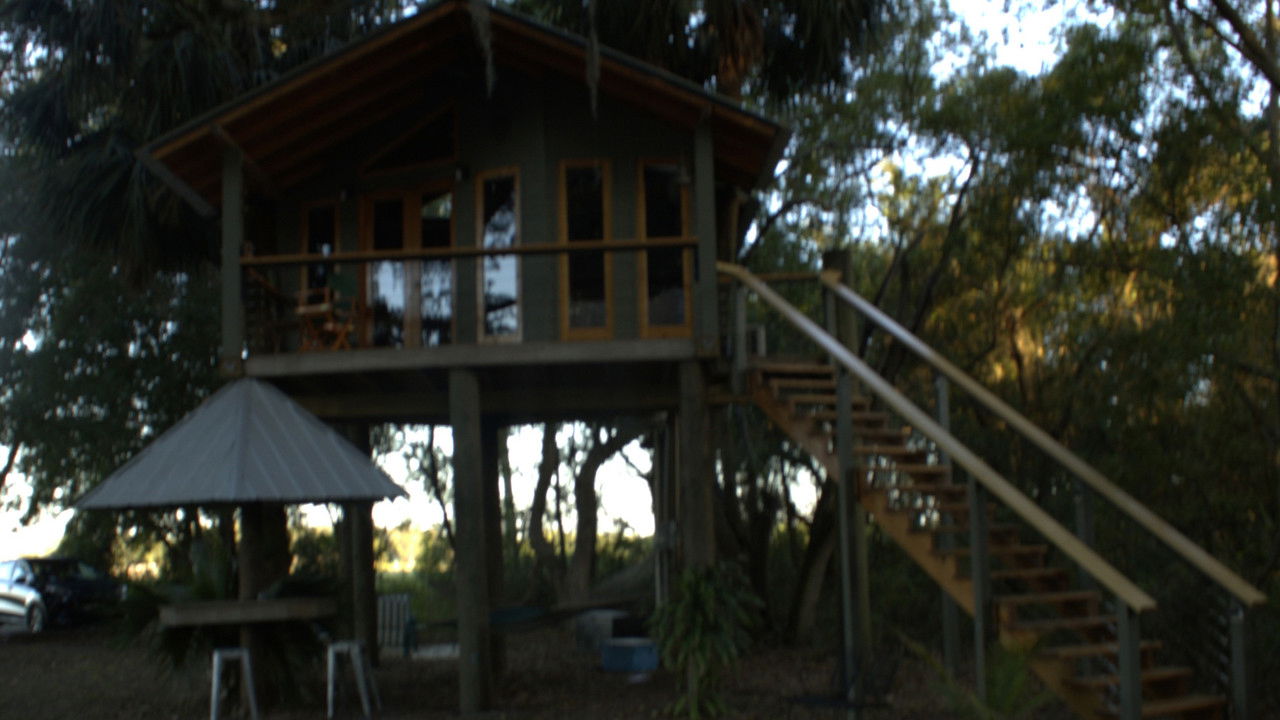 Sunday Night backdrop