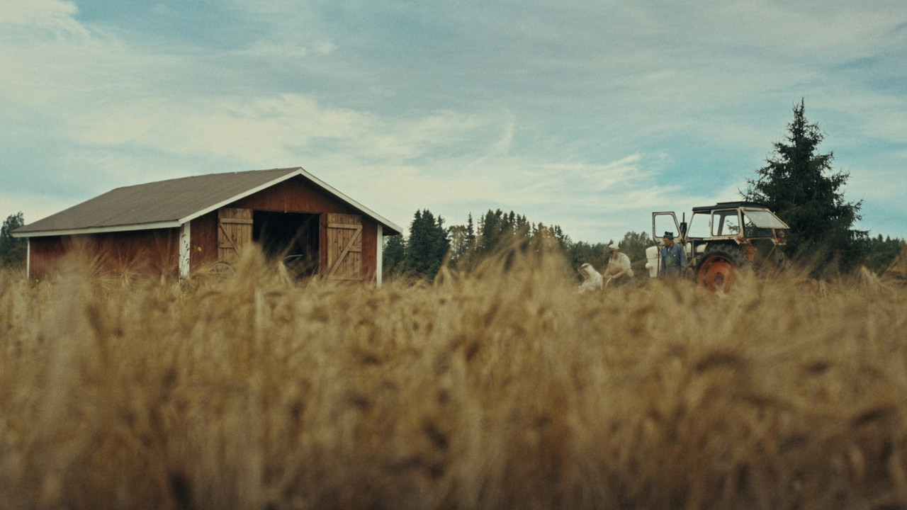 Timo: the Lord of Potato backdrop