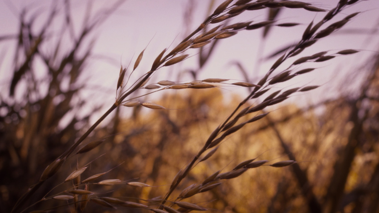 Sound of the End backdrop