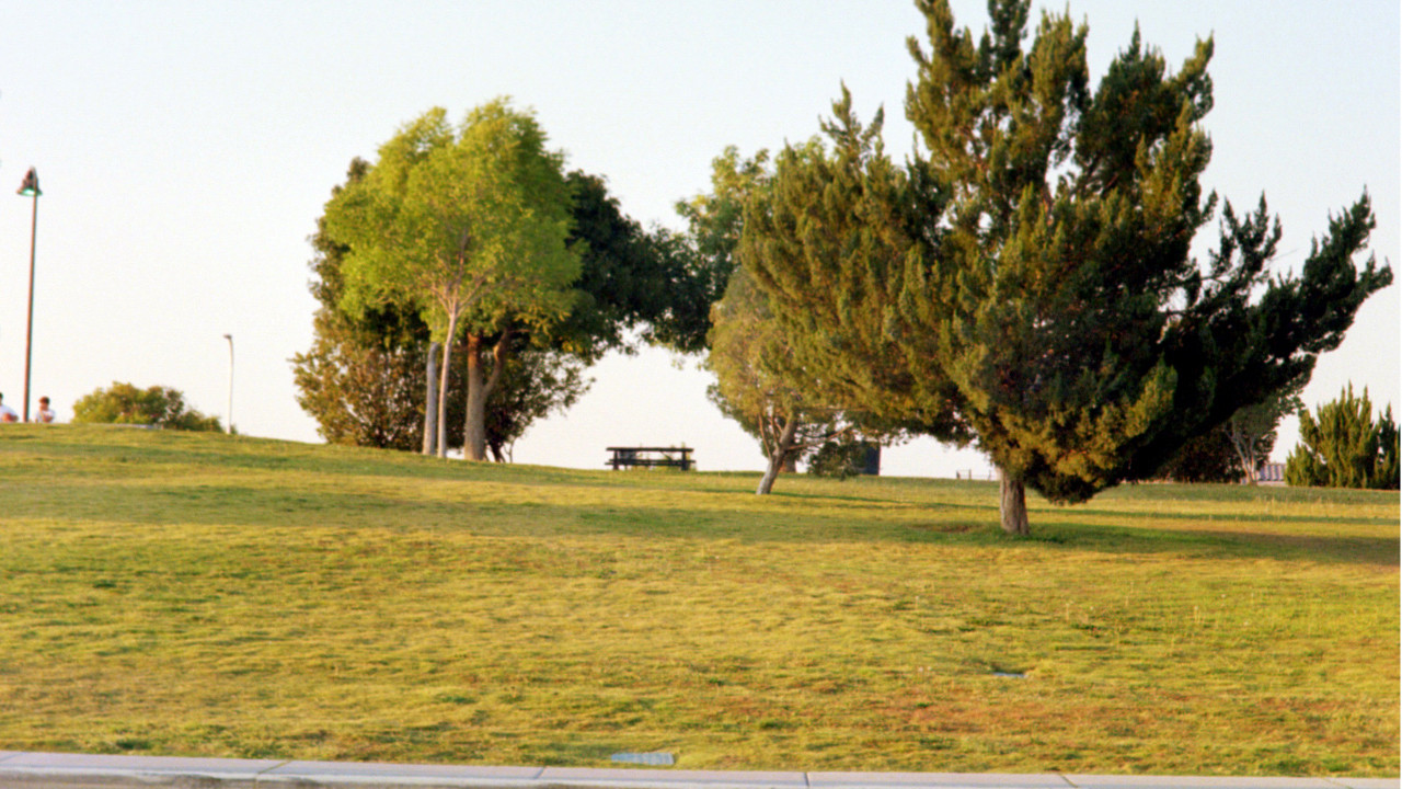 The Last Conversation backdrop