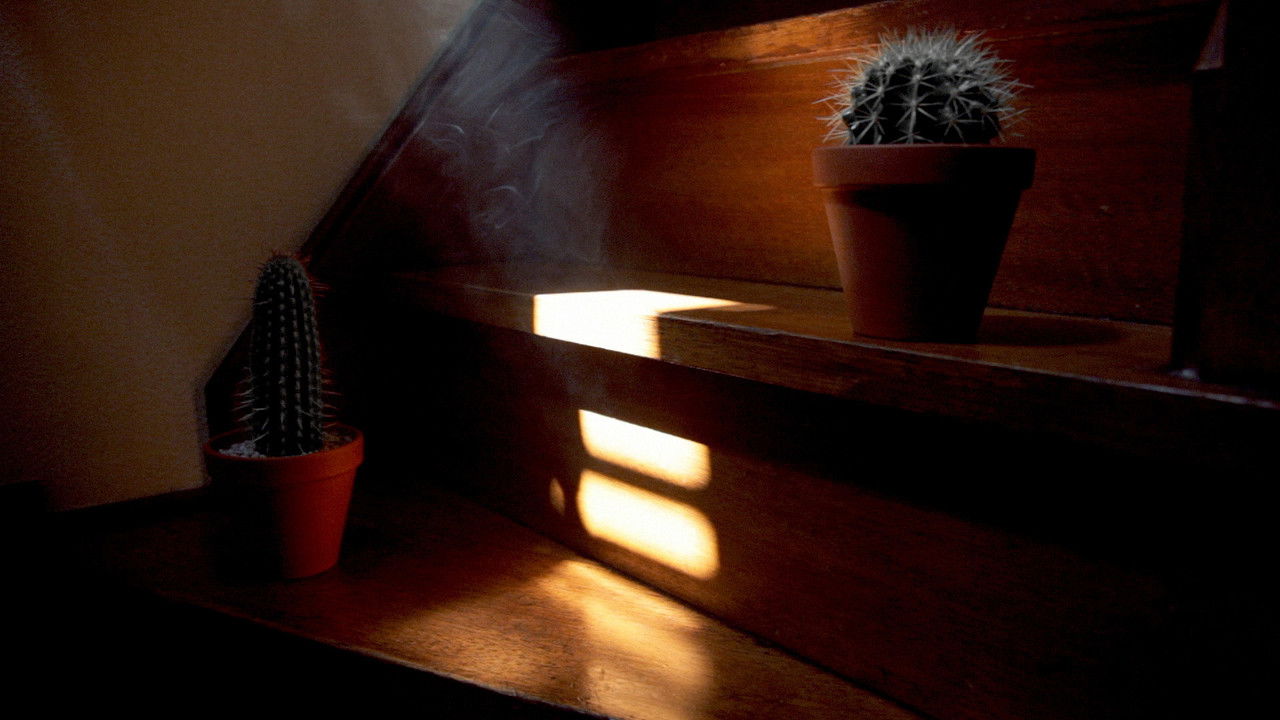 It Has Already Been Ended Before You Can See the End backdrop