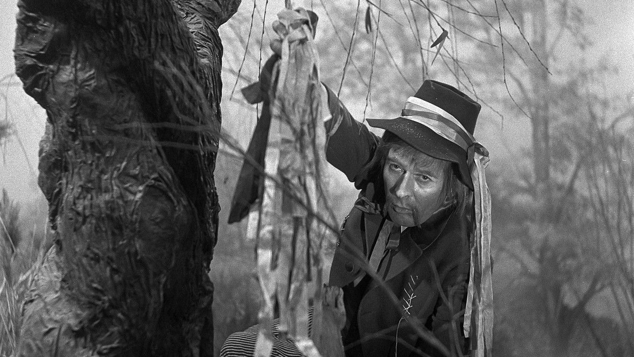 Jak se stal hastrman v Rokytnici ševcem backdrop