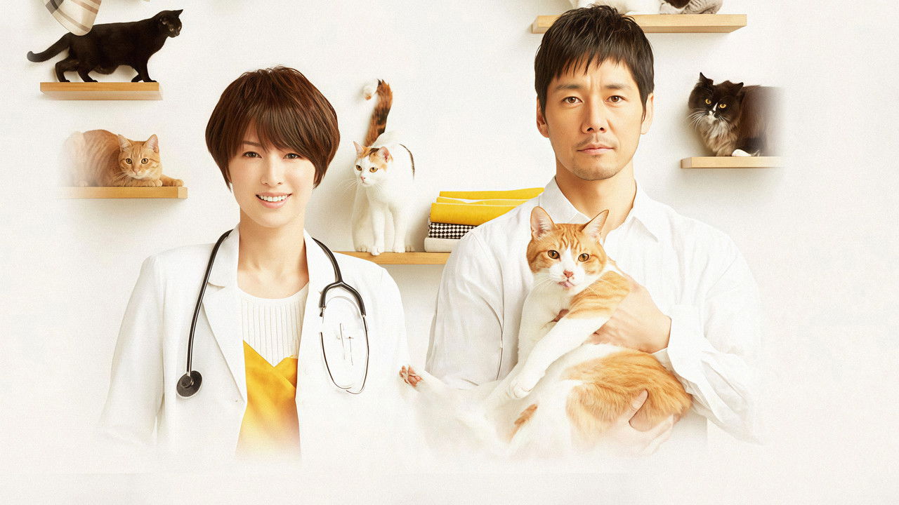 Blanket Cats backdrop