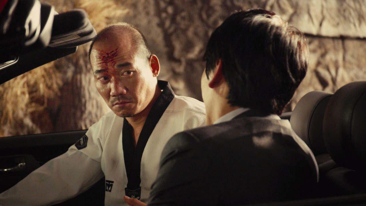 Elephant in the Room backdrop