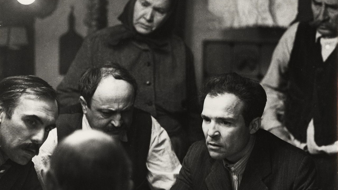 The Stud Farm backdrop