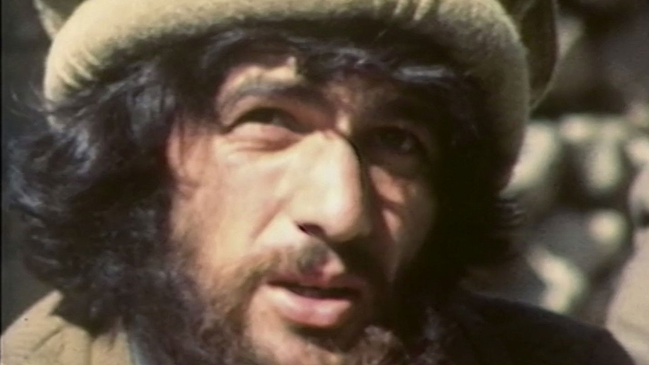 Les combattants de l'insolence backdrop