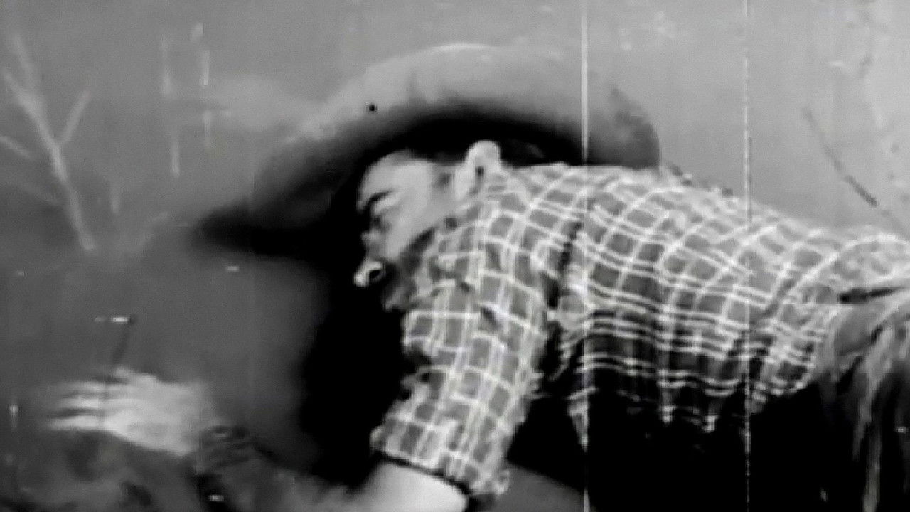 Adventurer's Fate backdrop