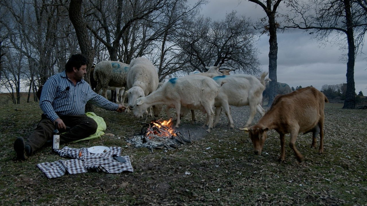 Las ovejas del planeta Tierra backdrop