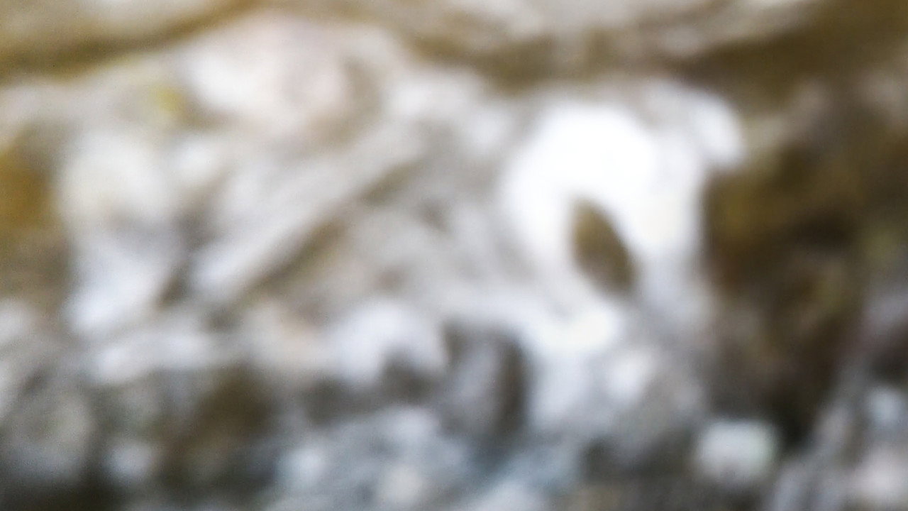 Metamorphosis backdrop