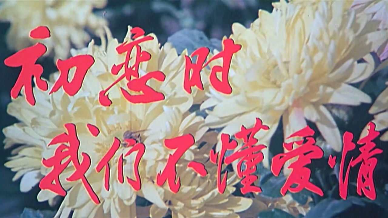 We Didn't Know Love During First Love backdrop