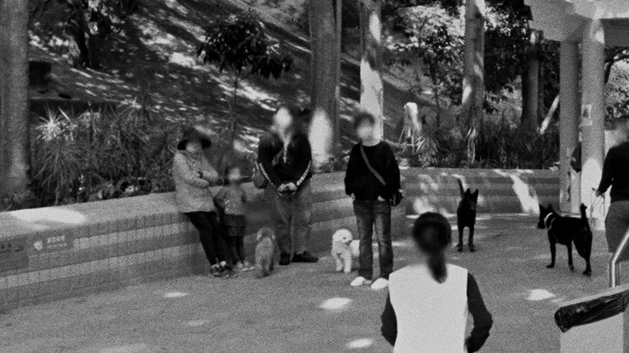 Map of Traces backdrop