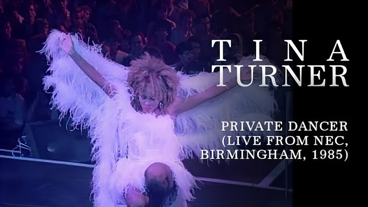 Tina Turner: Private Dancer Tour backdrop